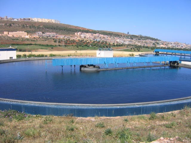 تلمسان